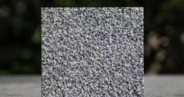 宣城 芝麻黑荔枝面