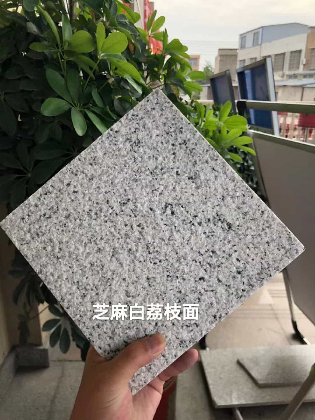 宣城 芝麻白荔枝面干挂