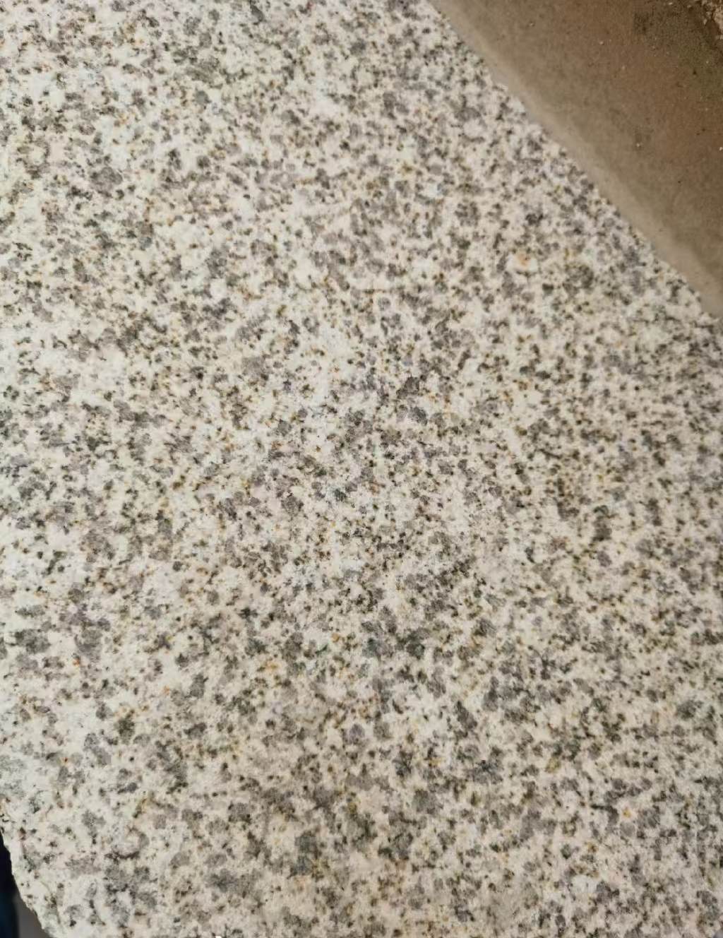 宣城 黄金麻中黄光面