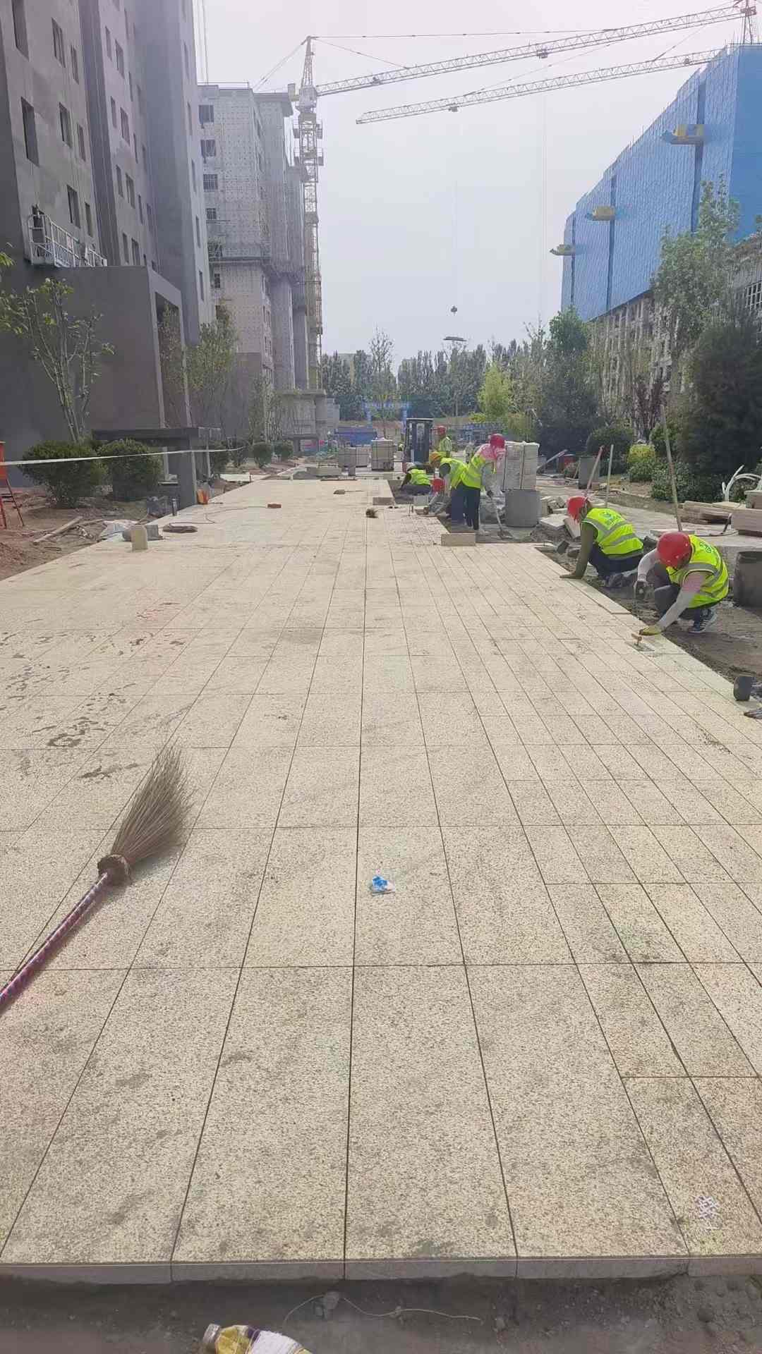 宣城黄金麻荔枝面地铺案例